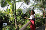 Aviary