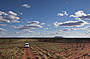 Mt Conner 4WD Outback Adventure (PM tour)
